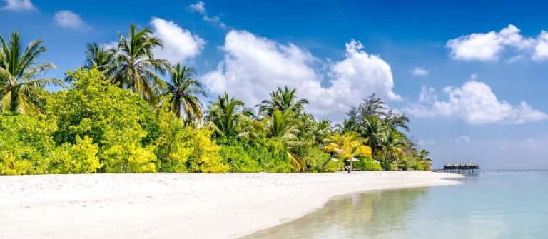 Weißer Sandstrand mit Palmen und grünem Gebüsch auf der linken Seite; ein hängender Korbsessel unter Palmen im Schatten; ruhiges, türkisfarbenes Meer erstreckt sich nach rechts bis zum Horizont; blauer Himmel mit weißen Wolken.