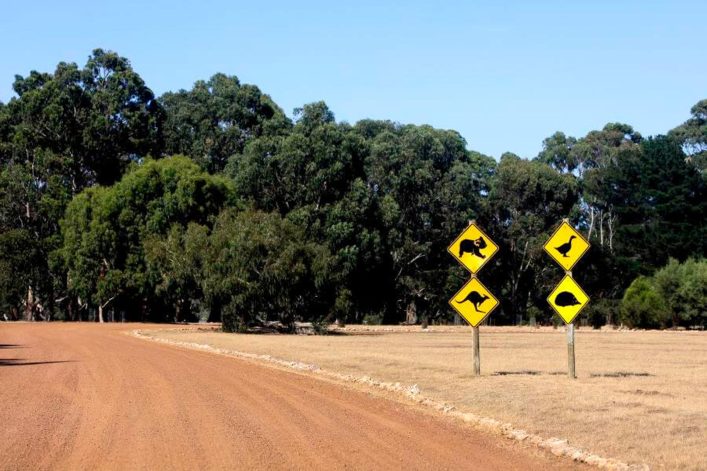 Kangoroo_island_australien_iStock-502226880